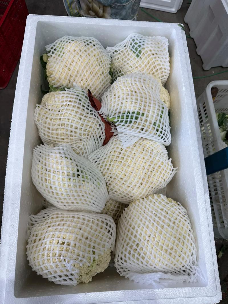 平定零售